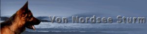 Duitse herder kennel Von Nordsee Sturm