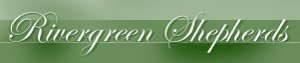 Rivergreen Shepherds Een canadese kennel waarmee wij nauw samenwerken