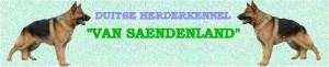 Kennel van Saendenland
